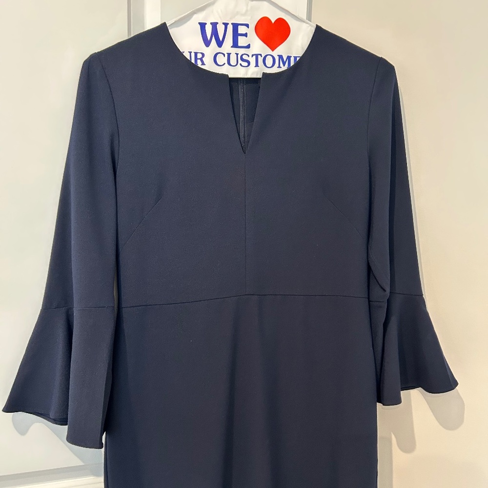 Ann Taylor flounce-sleeve shift dress